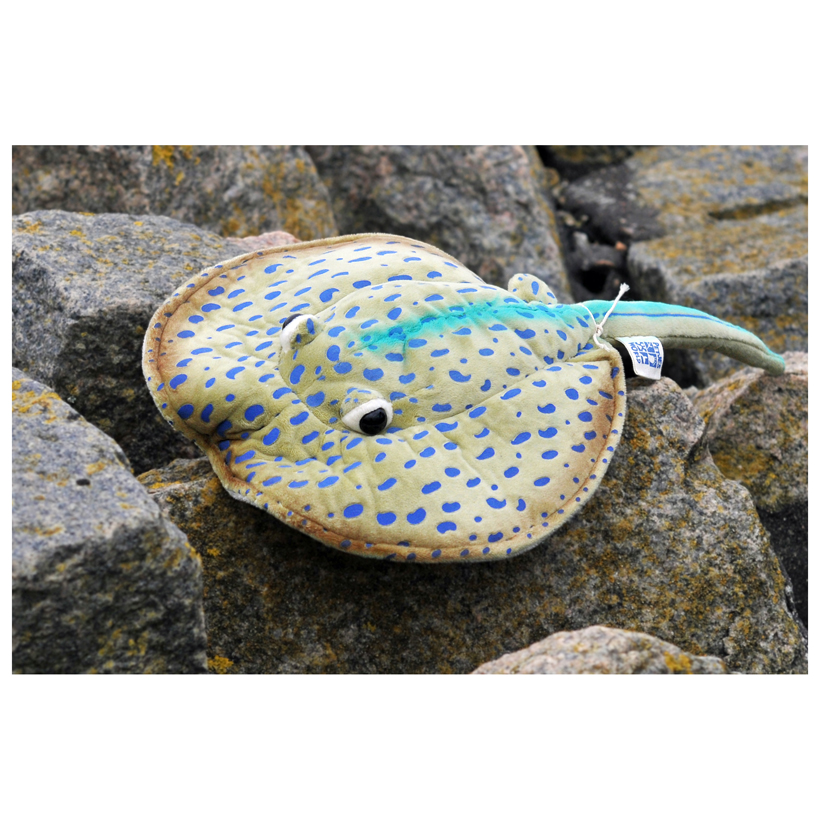 Ocean Friends "Stingray Blue Spotted", M Gallery 108