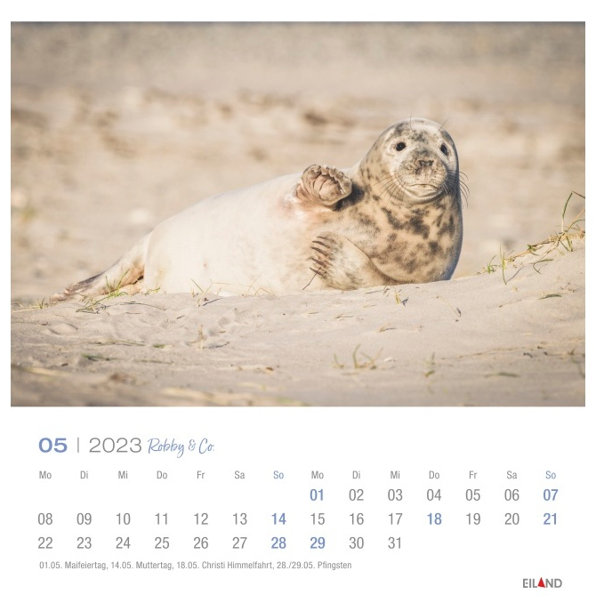 Kalender "Robby & Co" 2023 Gallery 147