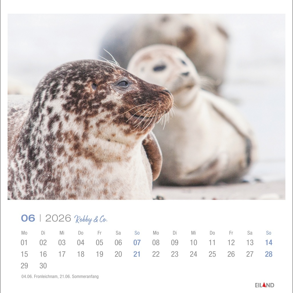 Kalender "Robby & Co" 2026 Gallery 212