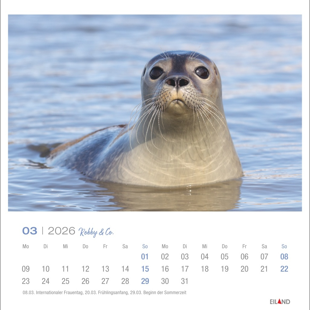 Kalender "Robby & Co" 2026 Gallery 211