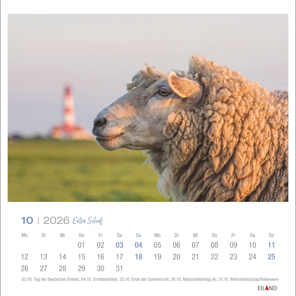 Kalender "Extra Schaf" 2026 Gallery 208