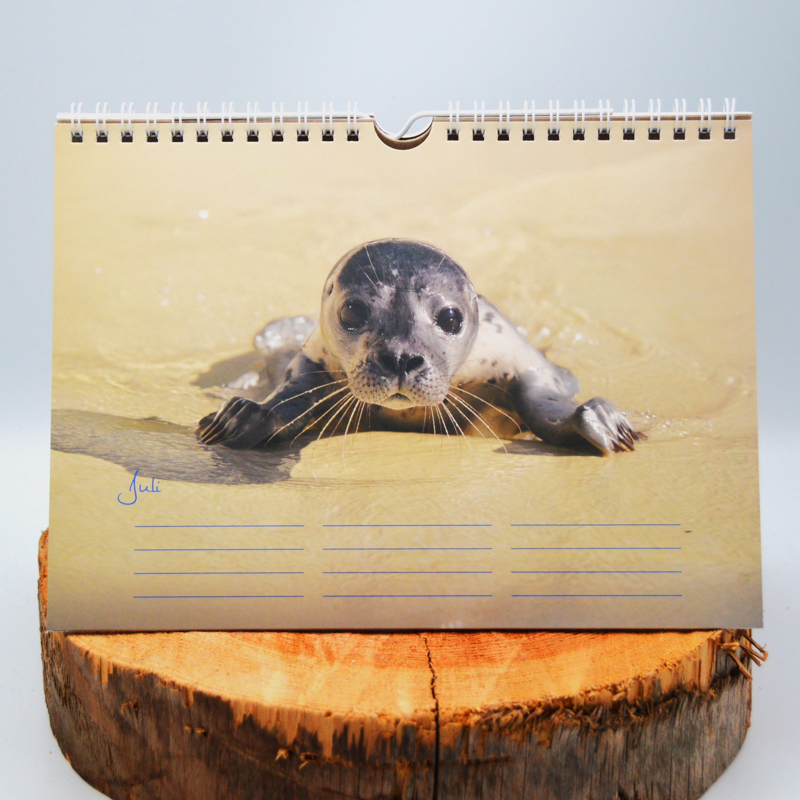 Geburtstagskalender Gallery 217