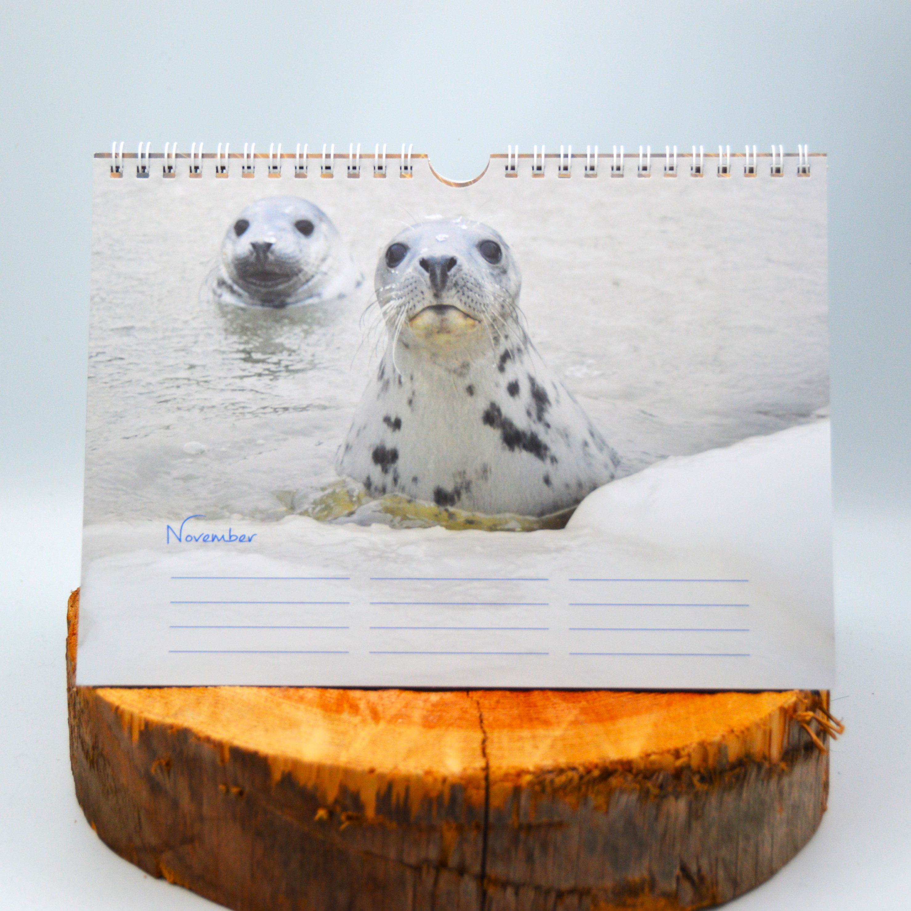 Geburtstagskalender Gallery 218