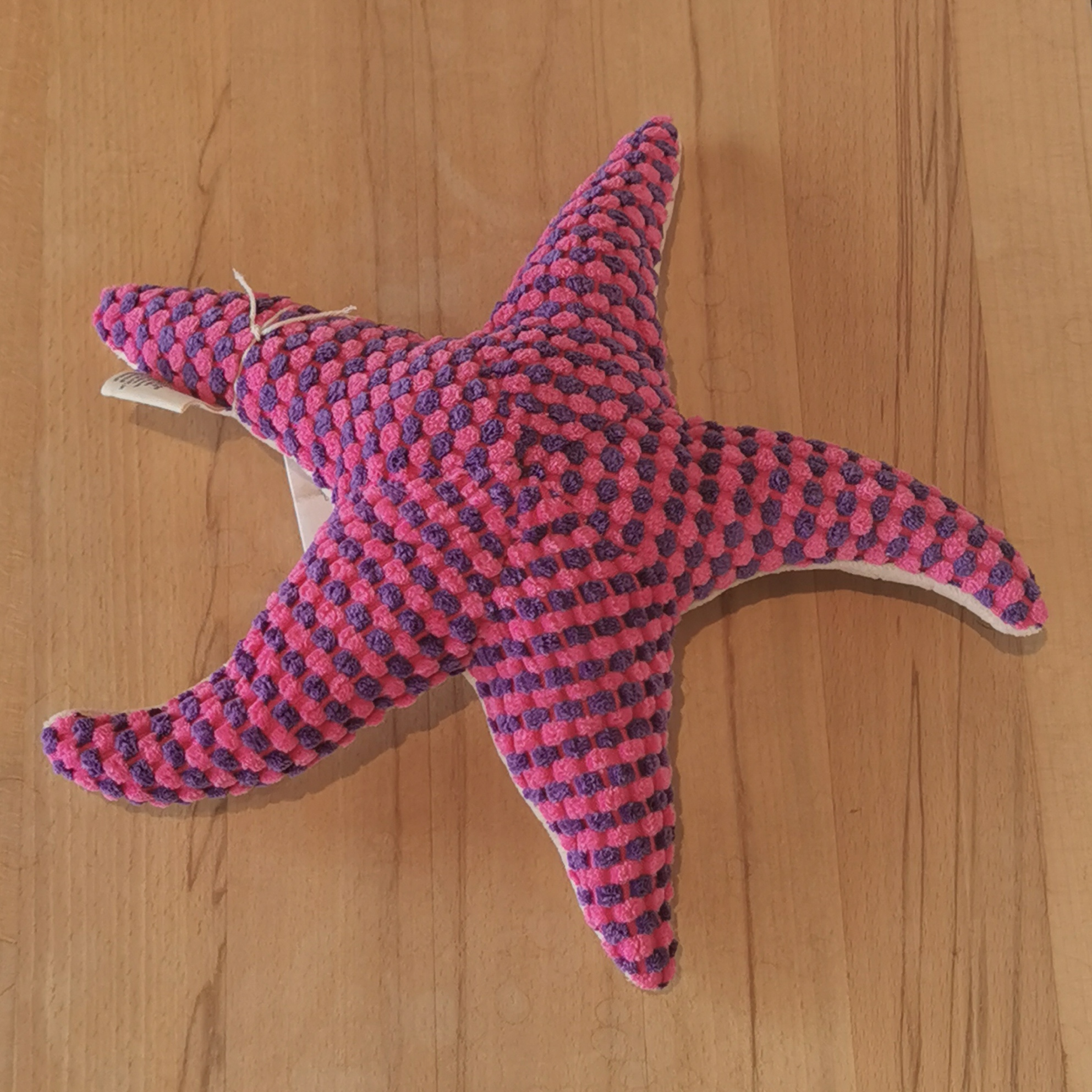 Ocean Friends 30 Starfish Fire Gallery 223